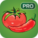 Salsa Pro - Spanish Language Learning Game
